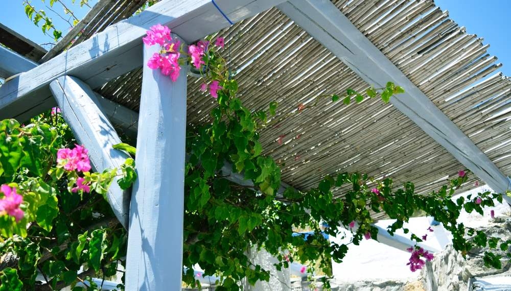 Comment fixer canisse sur pergola ?