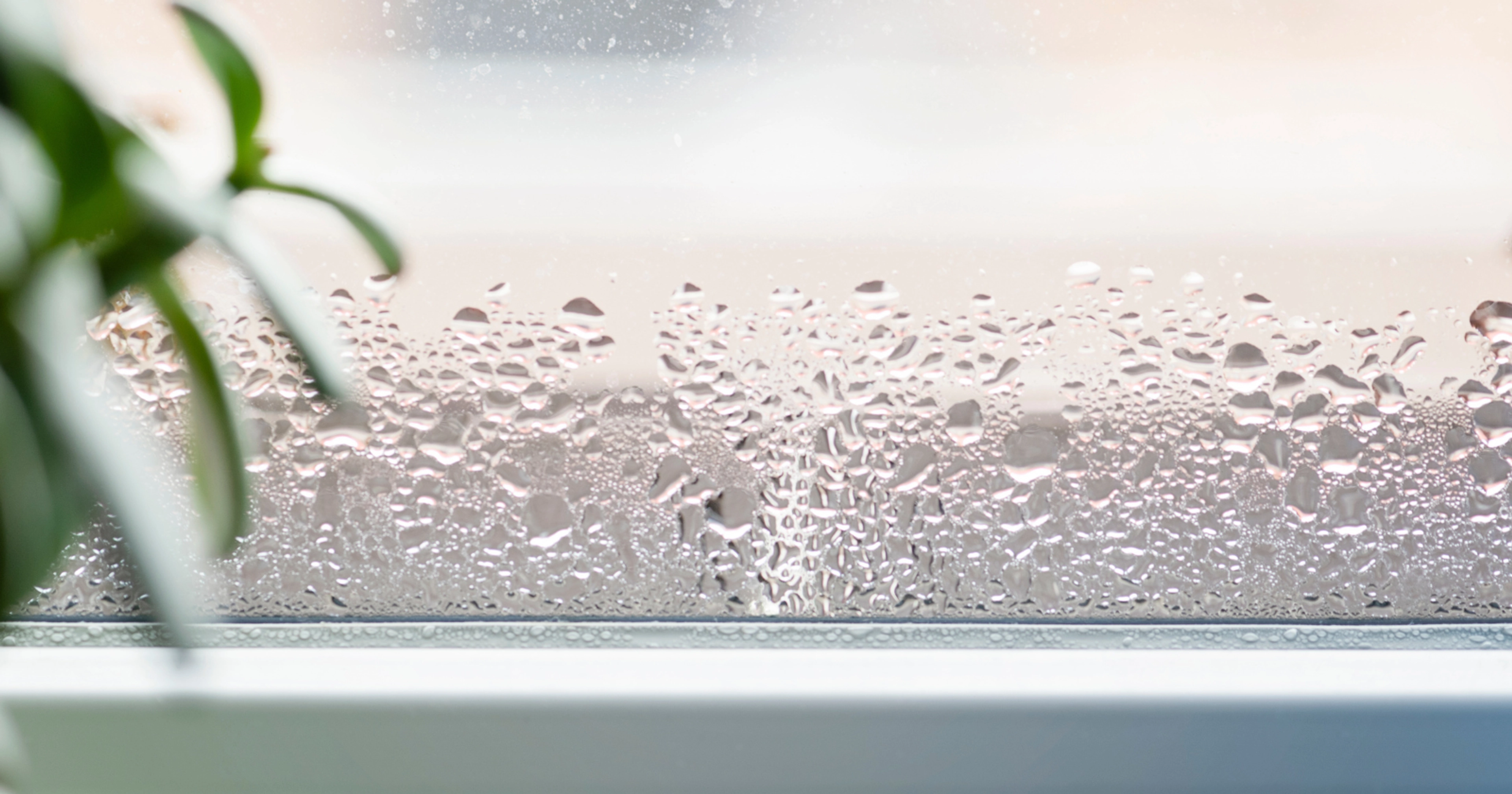 Comment lutter contre la condensation sur les fenêtres ?