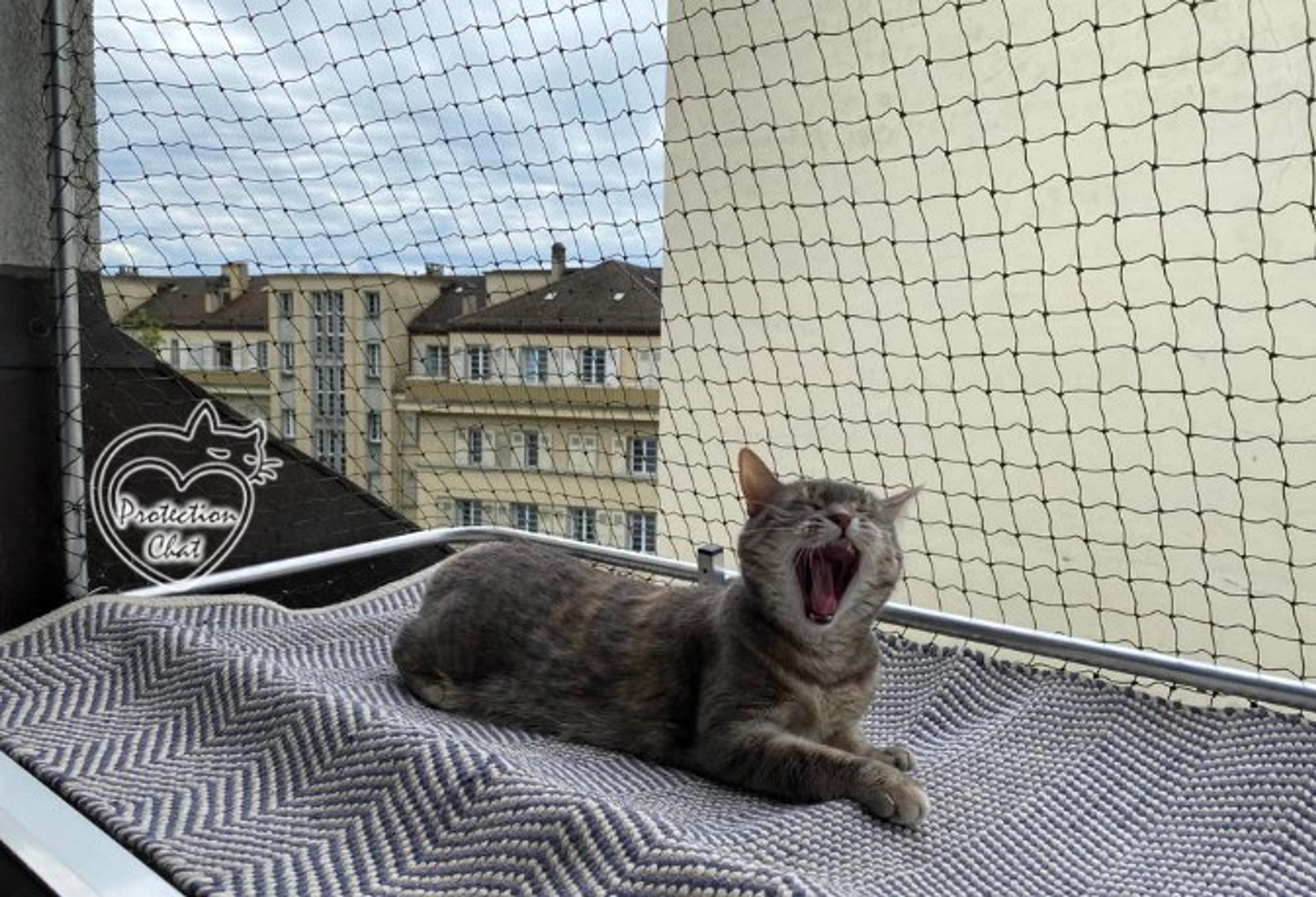 Protection fenêtre pour chat : Sécurisation parfaite