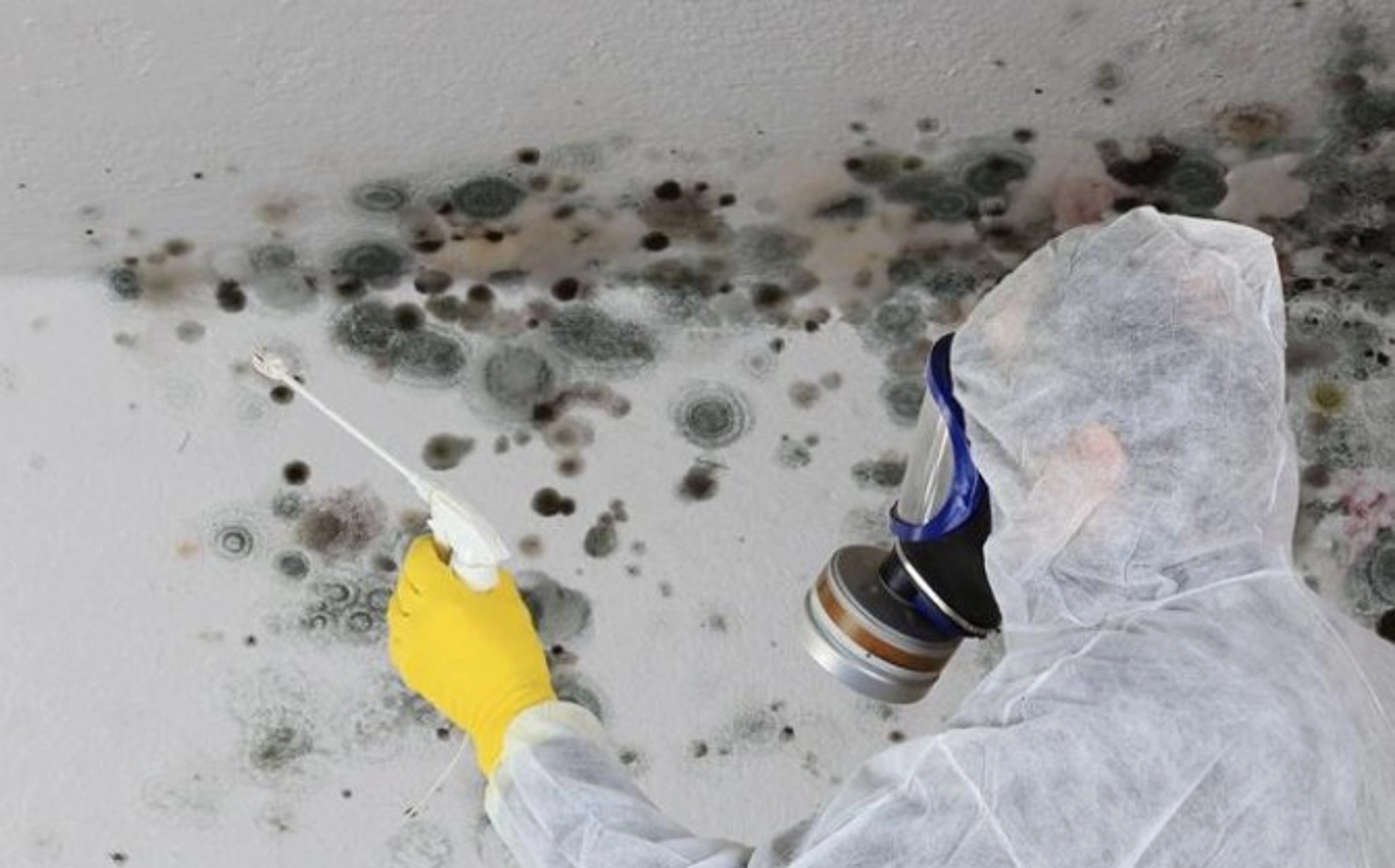 Humidité dans la maison : Que faire ?