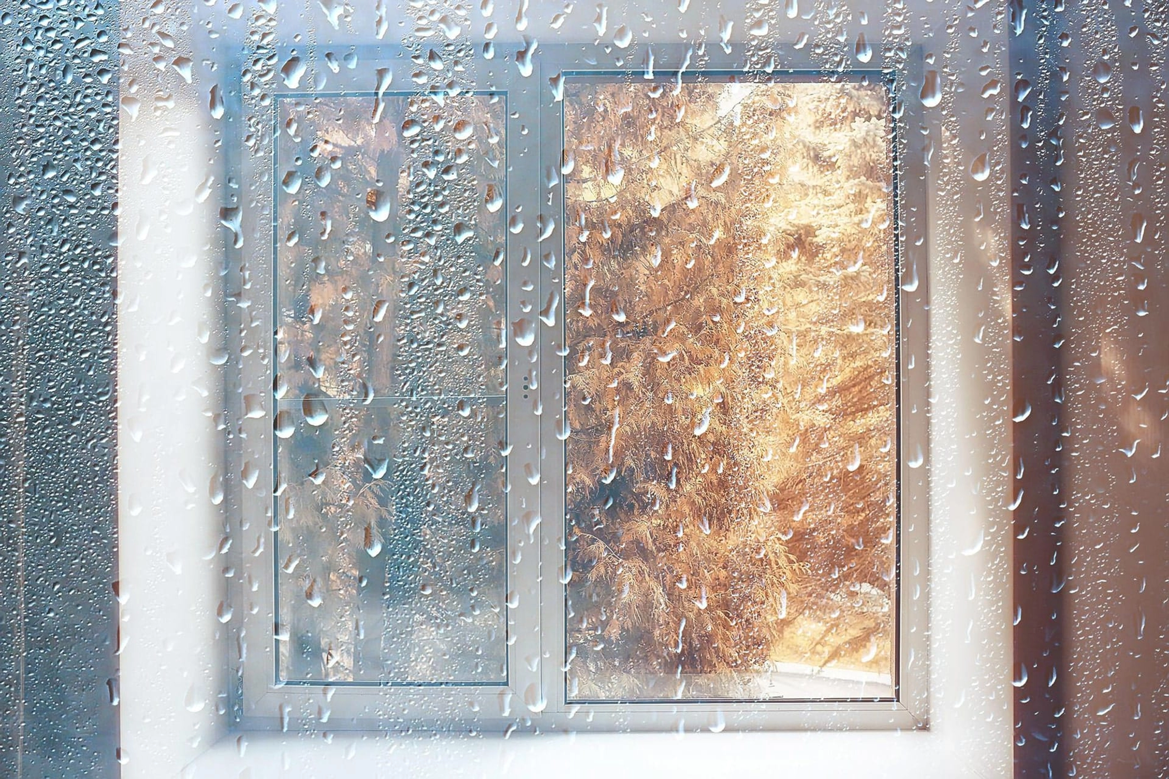 Condensation double vitrage véranda : comment l’éviter